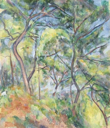Sottobosco