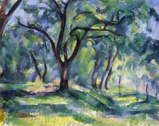 La foresta