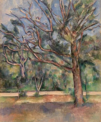 Alberi e strada