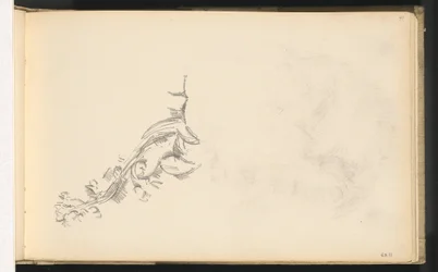 Ramo in Fiore