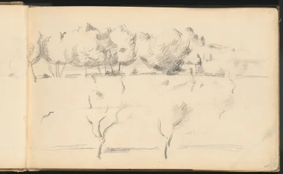Paesaggio con Alberi