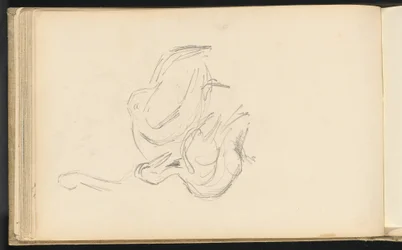 Pellicani