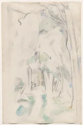 Sentiero nella foresta