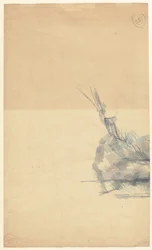 Studio di una Roccia