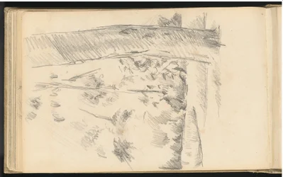 Alberi e arbusti