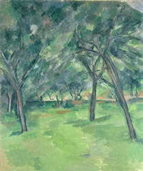 Immagine sconosciuta