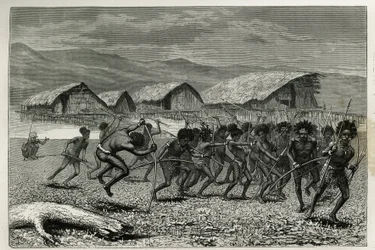 Discesa dei guerrieri Papus Arfaks a Dorey (Nuova Guinea Occidentale), incisione di E.Mesples, per illustrare il viaggio in Nuova Guinea di Achille Raffray, incaricato di una missione scientifica dal Ministero dell