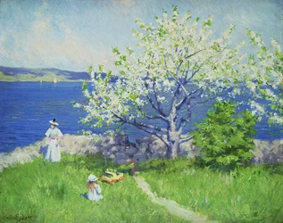 Immagine sconosciuta