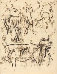 Studi sugli animali