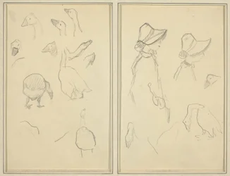 Oche; Ragazze con Cappelli, Oche [recto]