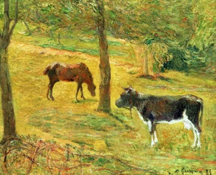 Cavallo e Mucca in un Prato