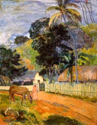 Cavallo sulla strada, paesaggio tahitiano