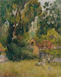 Capanni sotto gli Alberi