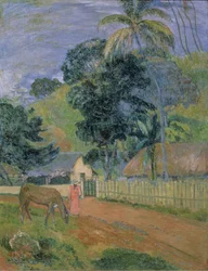 Paesaggio