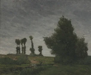 Paesaggio con pioppi