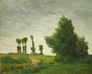 Paesaggio con pioppi