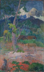 Paesaggio con un Cavallo