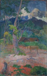 Paesaggio con Cavallo