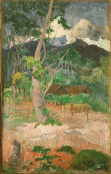 Paesaggio con cavallo