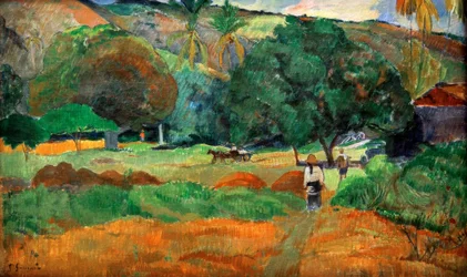 Le Vallon