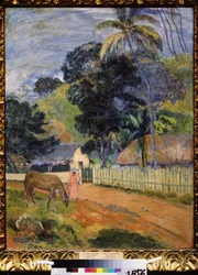 Paesaggio, un cavallo sulla strada
