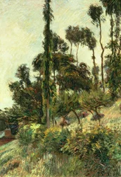 Il Lato della Collina