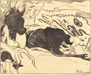 Le lavandaie