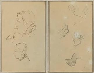 Due teste; studi di pecore (recto)