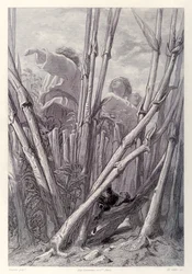 Gulliver vede i lavoratori agricoli alti come campanili e si nasconde in un campo di grano, dall