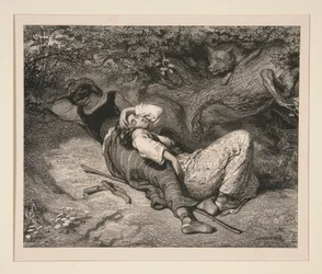 Il lupo
