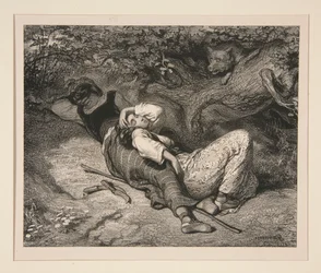 Il lupo