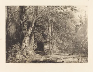 Inondazione nella Foresta dell