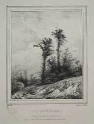 Paesaggi: Giovani olmi, 1829