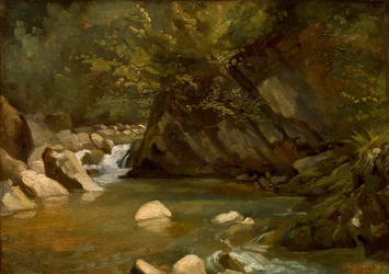 Ruscello nel bosco