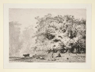 Boschi vicino a Fontainebleau