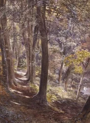 Una radura nel bosco