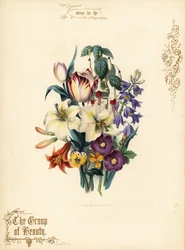 Bouquet di gigli, tulipano, fucsia, giglio tigrato