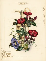 Bouquet di ipomea scarlatta e gloria mattutina blu con vaso