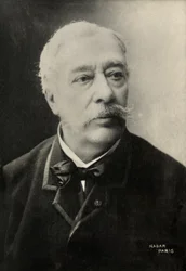 Ritratto di Alfred Stevens (foto)