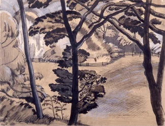 Bordo del bosco