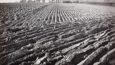 Campo arato e pagliaio
