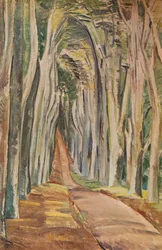Foresta di Savernake, 1935