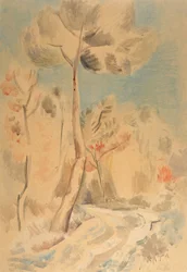 Il Pino