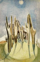 Bosco sulla collina