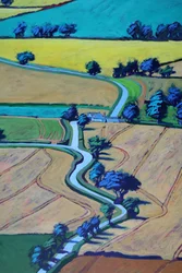 Strada in estate (dettaglio)