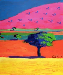 Collina rosa