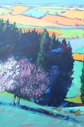 Teme Valley fioritura (dettaglio)