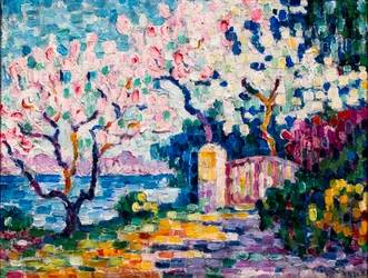 Mandorli rosa in fiore
