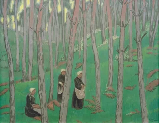 Raccoglitori di funghi nel bosco