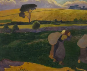 Lavandaie a Bellangenet